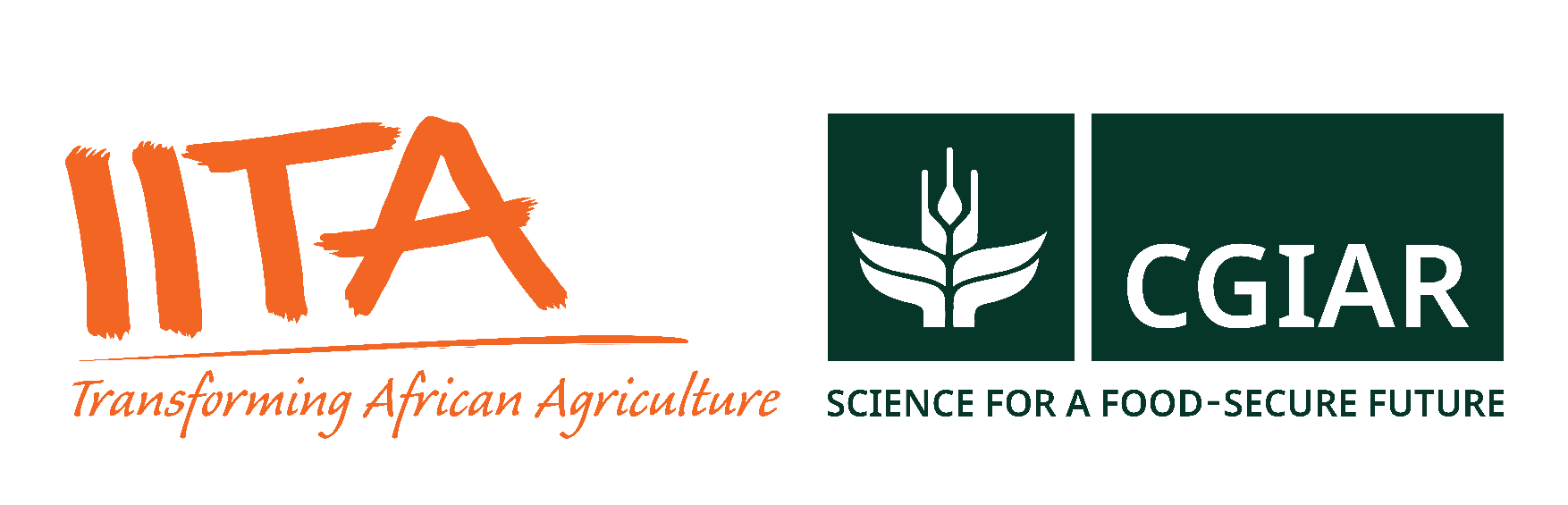 IITA Logo
